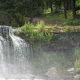 DSCF2964
