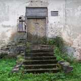DSCF2641