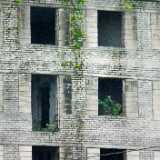 DSCF2683