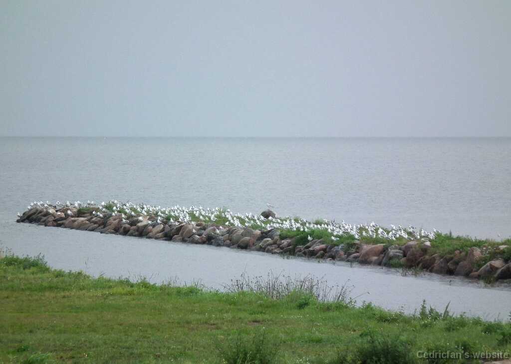 DSCF2712