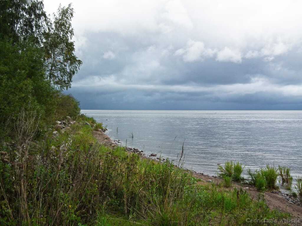 DSCF2719