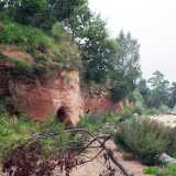 DSCF2726