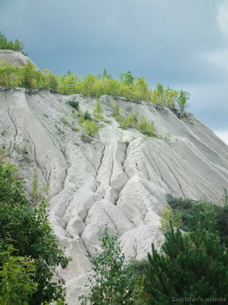 DSCF2941