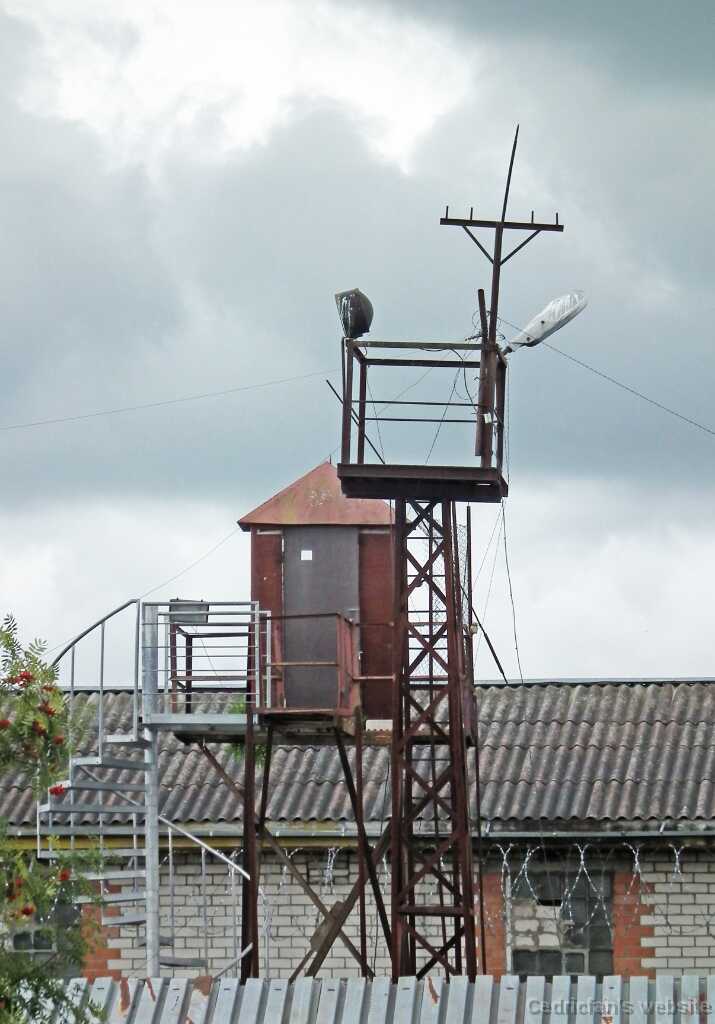 DSCF2951