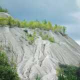 DSCF2941