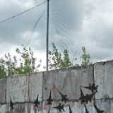 DSCF2946
