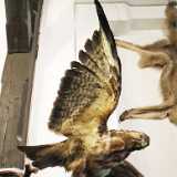 DSCF2861