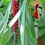 DSCF2788