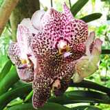 DSCF2790