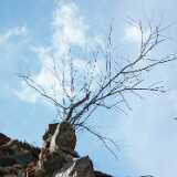 DSCF2924