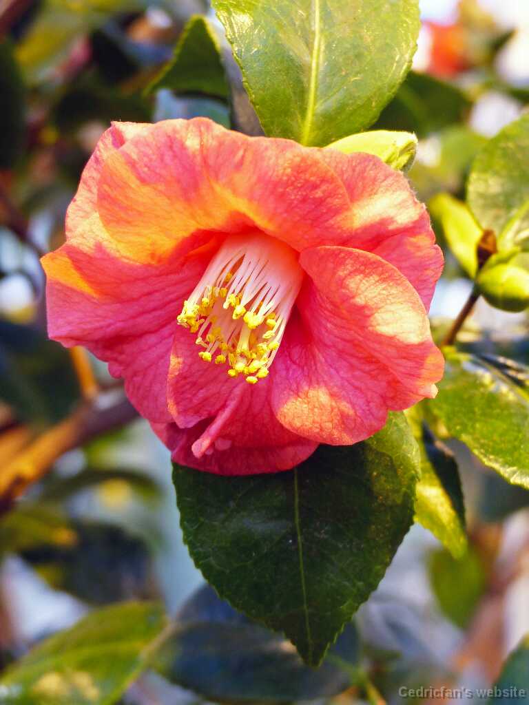 P1270276