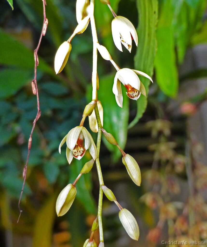 P1270310