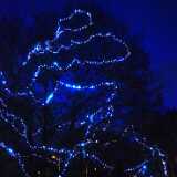 16_11_Xmaslights
