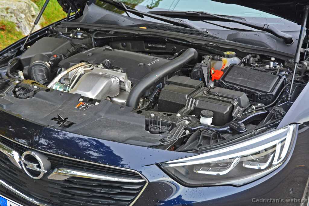 Insignia (6)