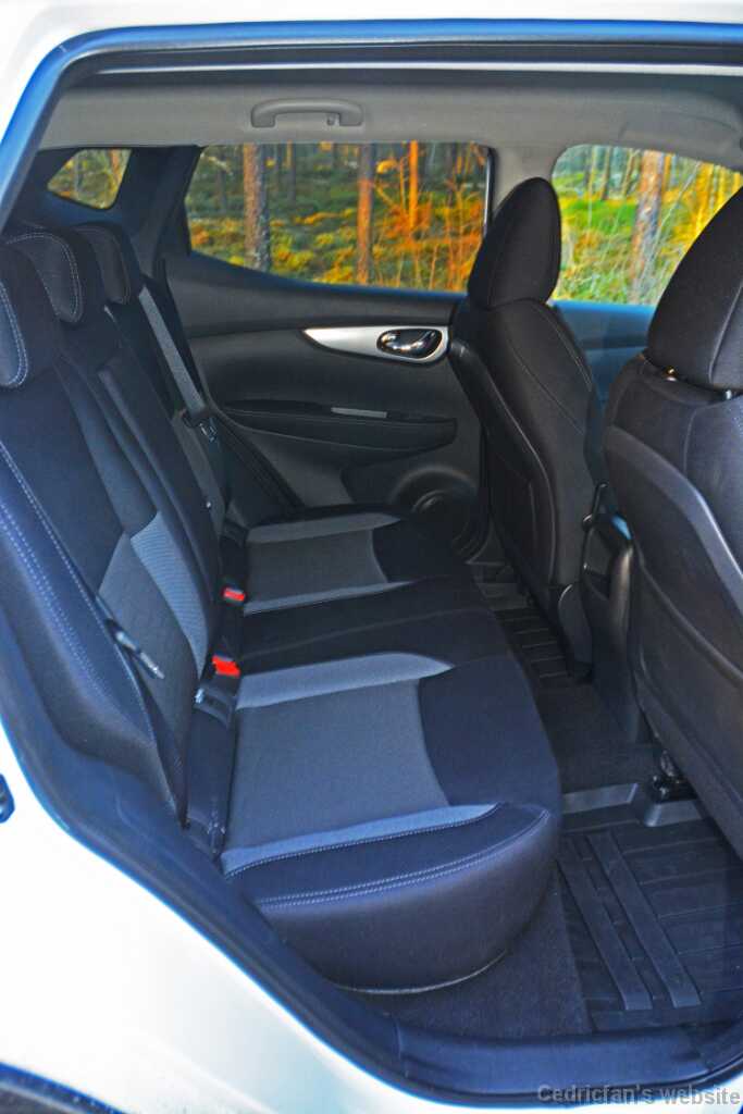 Qashqai (4)