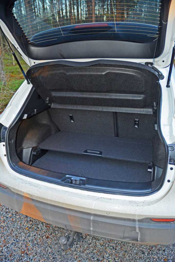 Qashqai (6)