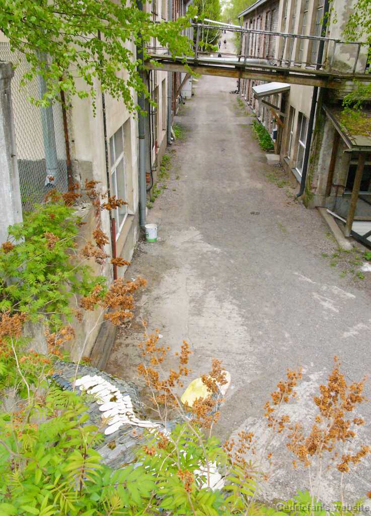 L1070019