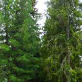 L1090200