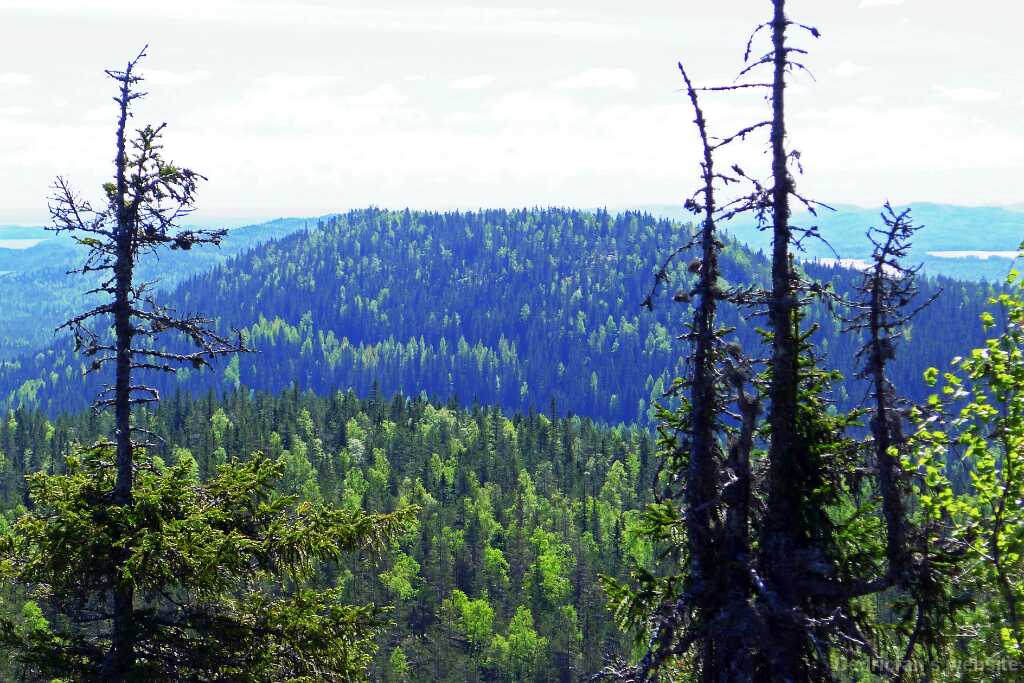 L1090268