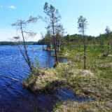 L1090278