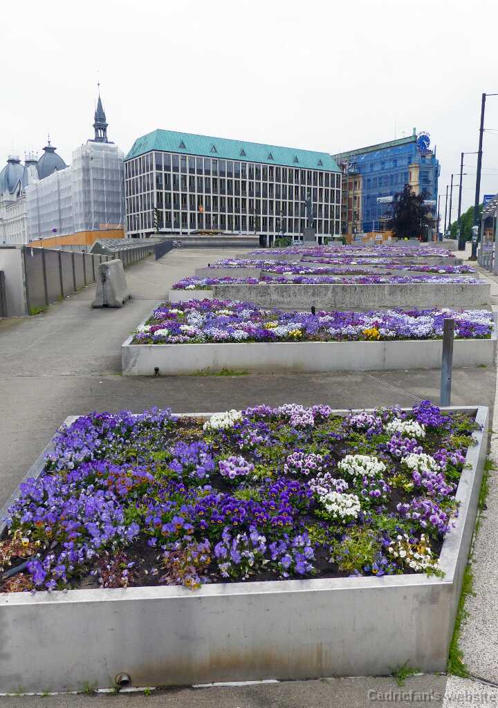 P1270561