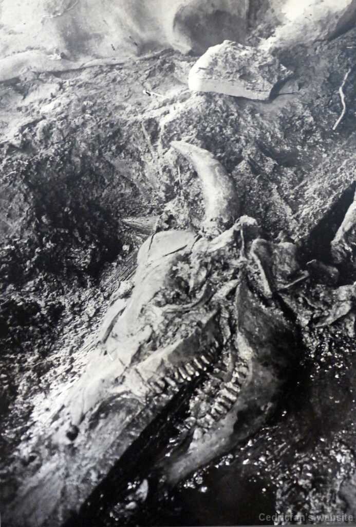 P1270491