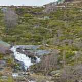 P1270610