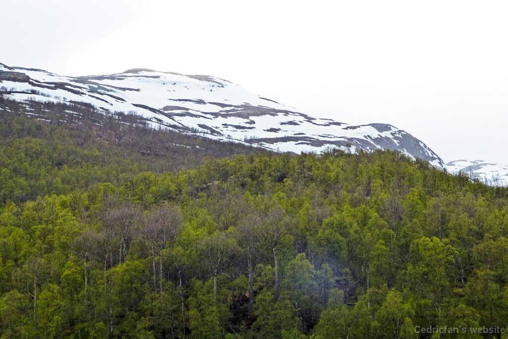 P1270688