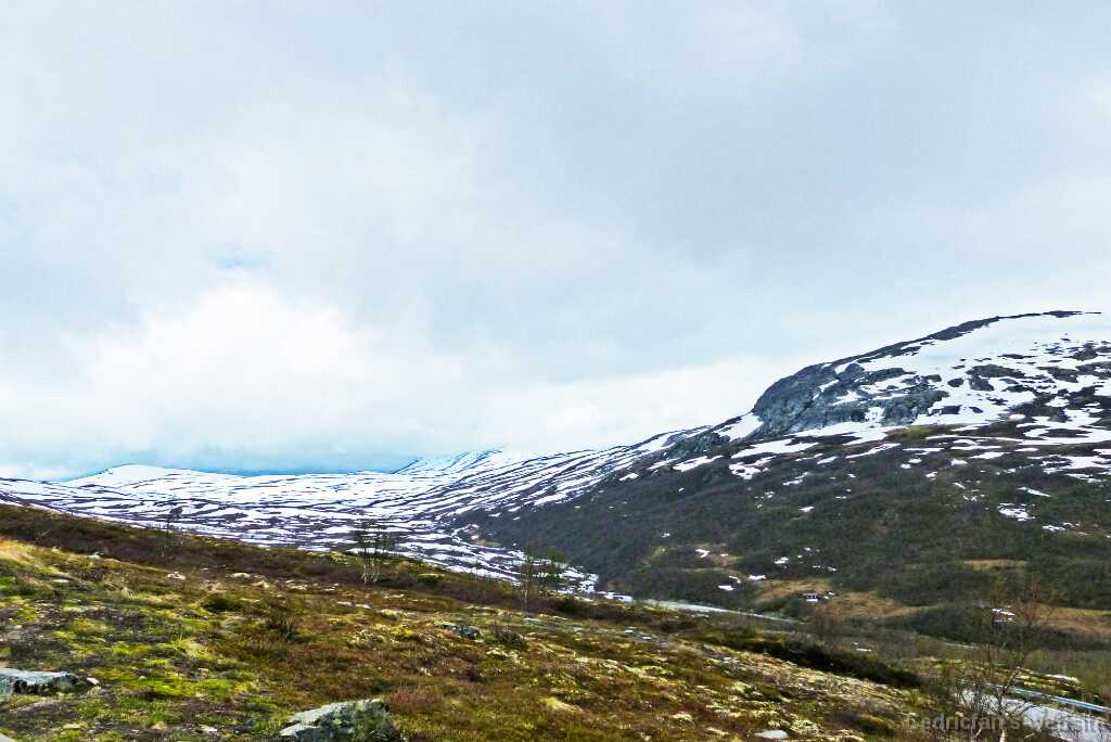 P1270795