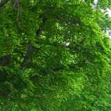 P1280131