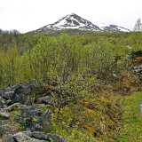 04_Snoveien