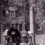 faunilandia2_iso