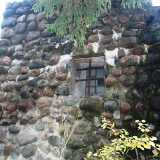 torvinokka_iso