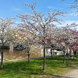 IMG_20180512_111251
