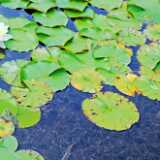 DSCF9479