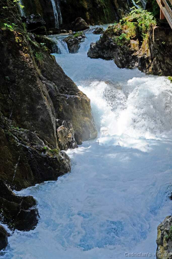 DSCF9552