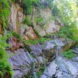 DSCF9544