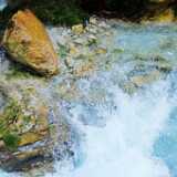DSCF9553