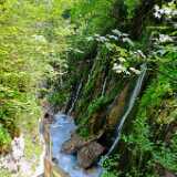 DSCF9554