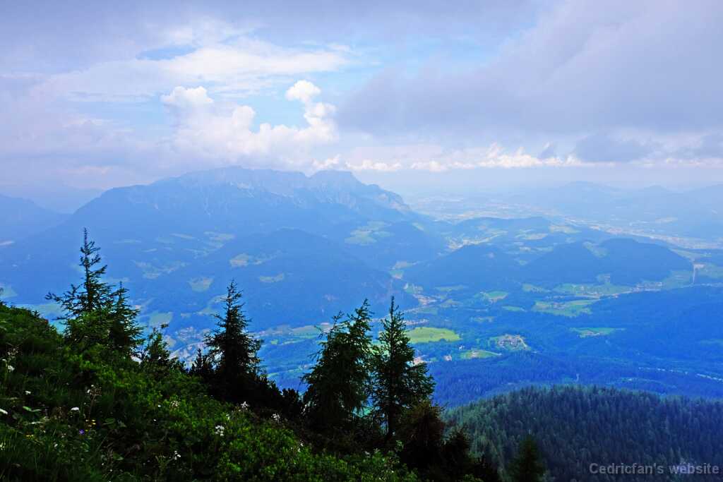 DSCF9562