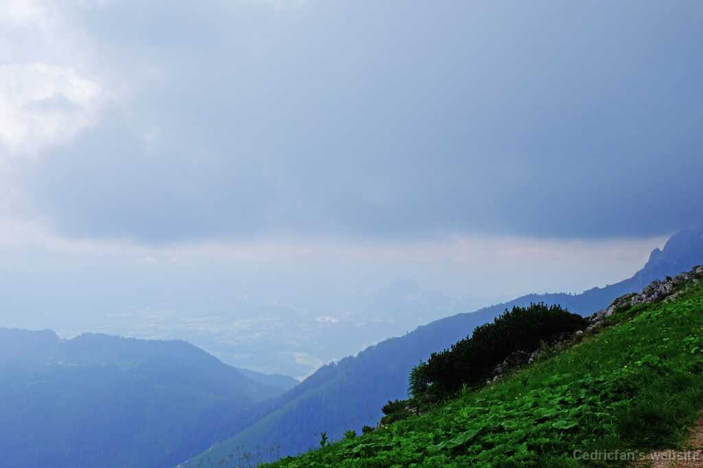 DSCF9579