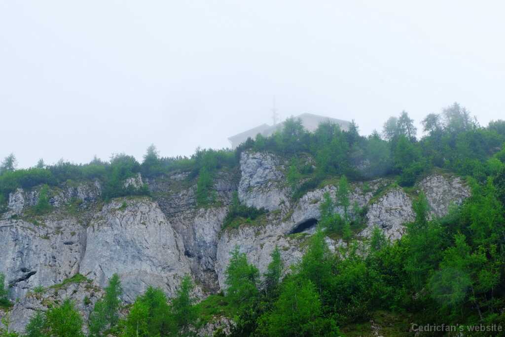 DSCF9603
