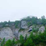 DSCF9603