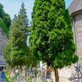DSCF9684