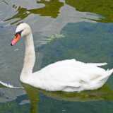 DSCF9741