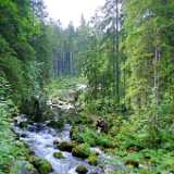 DSCF9747