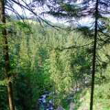 DSCF9754