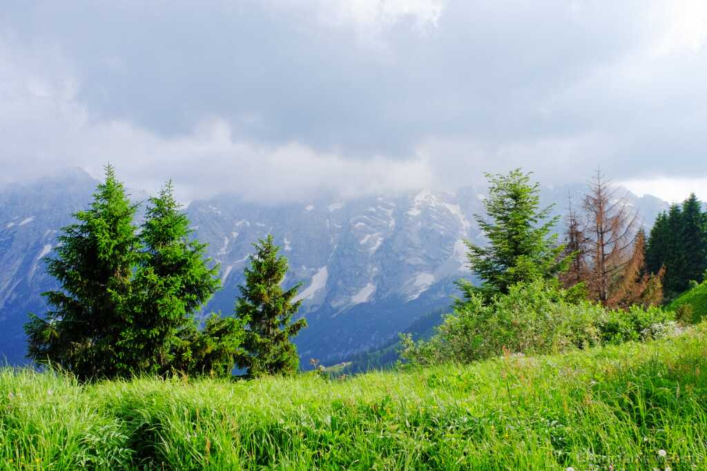 DSCF9762