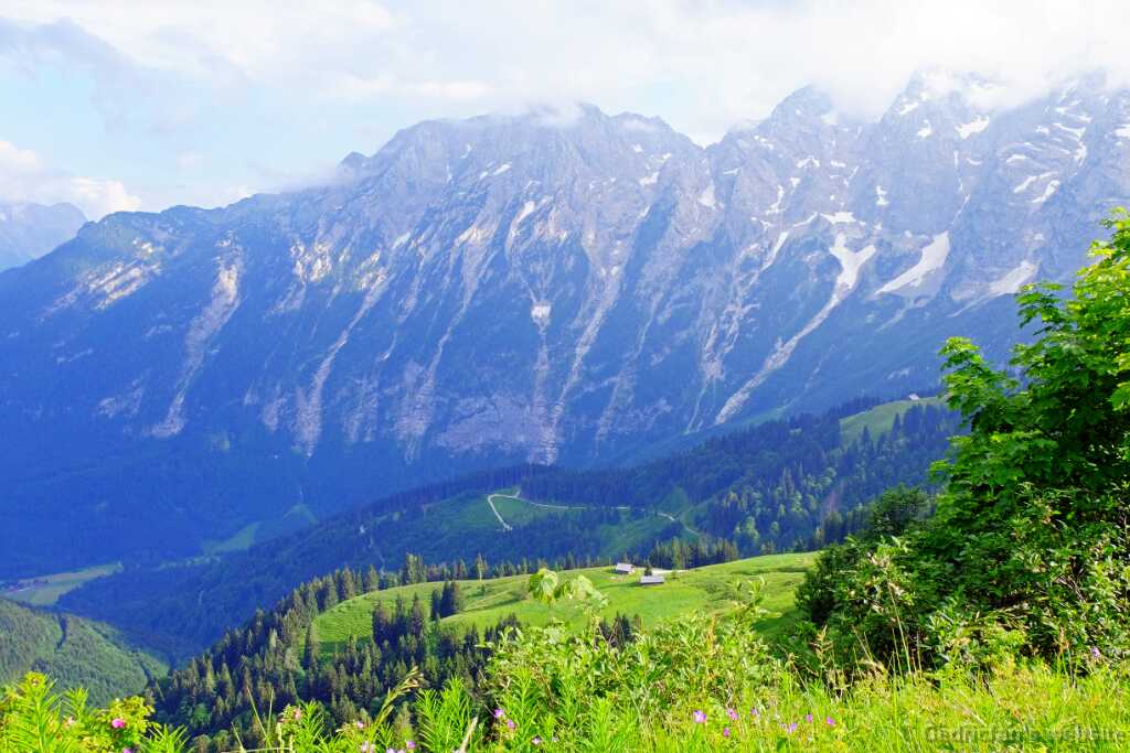 DSCF9767