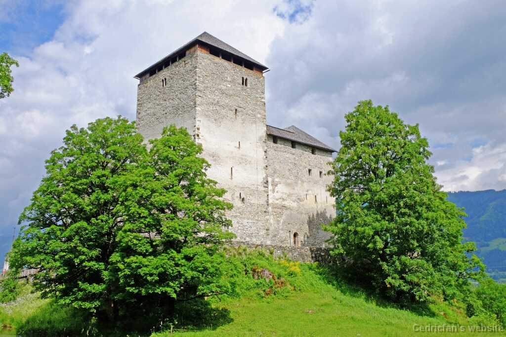 DSCF9793